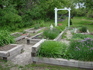 Herbs from SE  Blog.JPG
